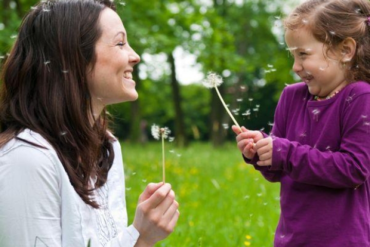 Take a Deep Breath: Top 10 Herbs for Respiratory Health
